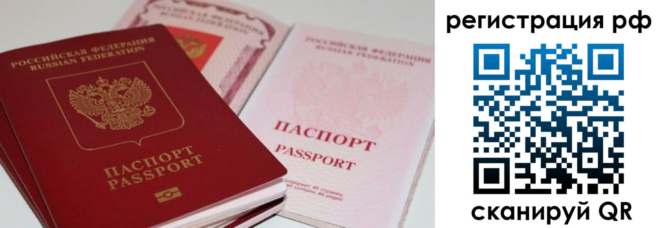 пропишу в квартире в Волгоградской области